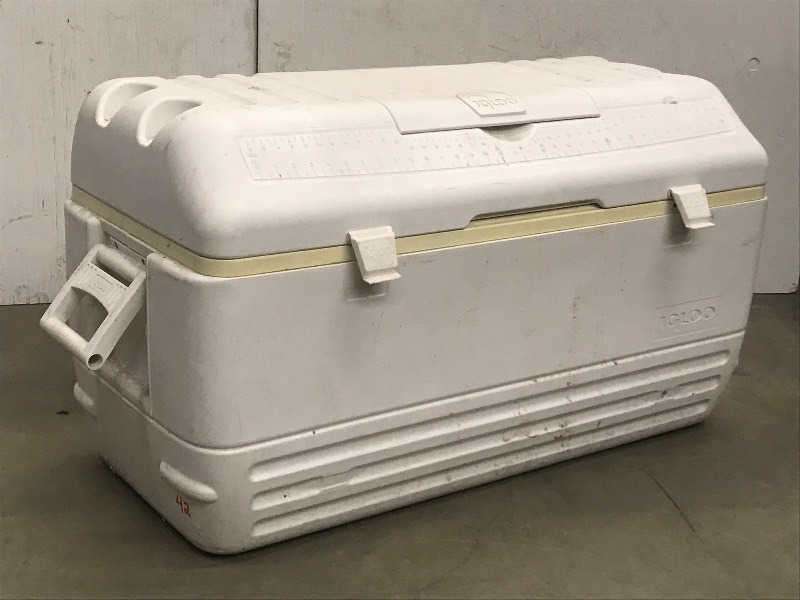 lot 42 image: Igloo 4ft Camping Cooler