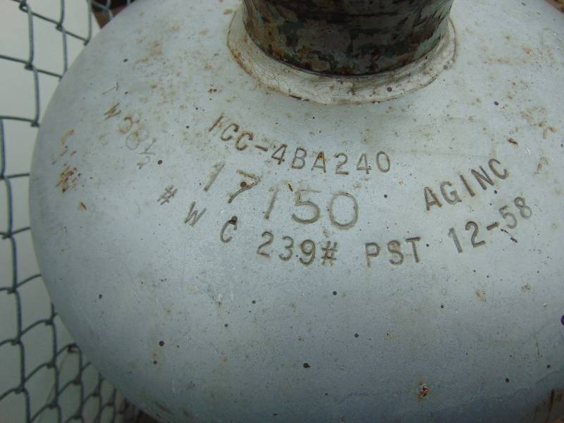 lot 89 image: 100 LB Propane Cylinder