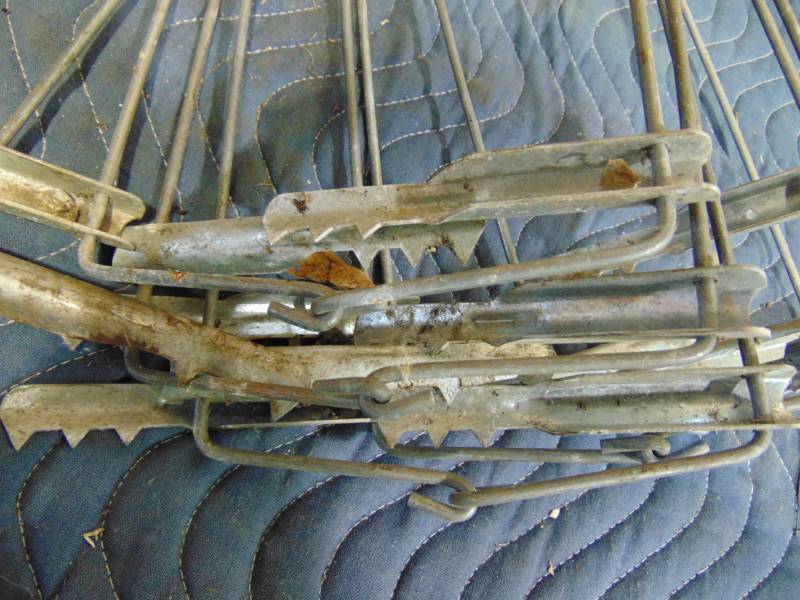 lot 122 image: (12) Pelt Stretchers