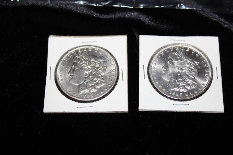 lot 196 image: Lot of  (2) Morgan Silver Dollars in Collector Sleeves