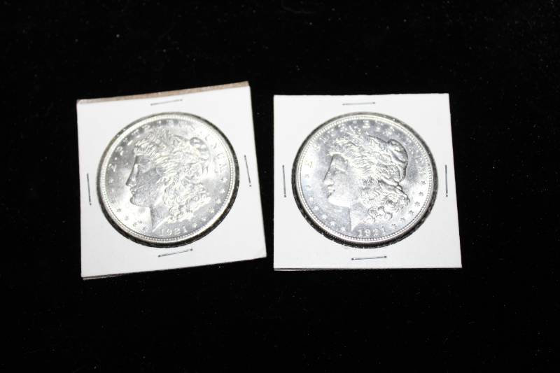 lot 195 image: Lot of  (2) Morgan Silver Dollars in Collector Sleeves