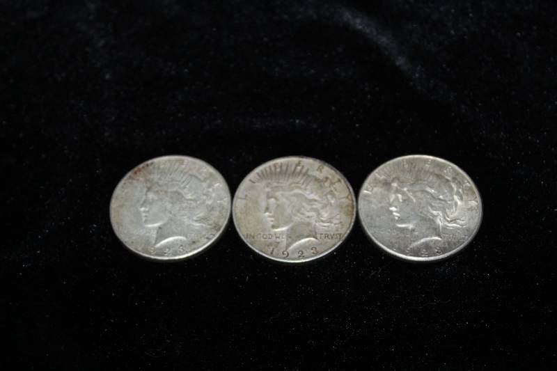 lot 231 image: Lot of (3) 192x Peace Silver Dollar Coins