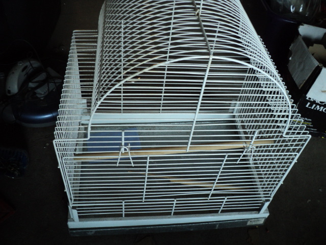 large wire birdcage...