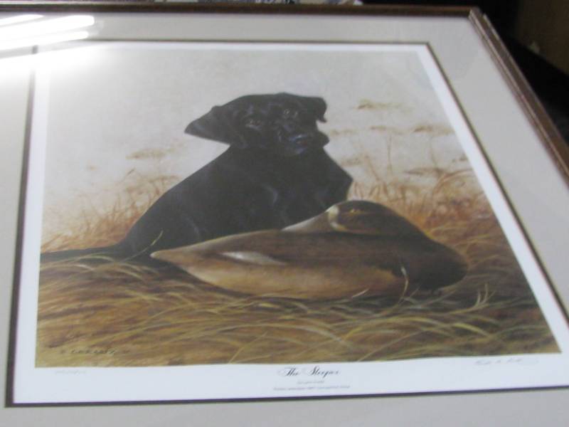 lot 52 image: Framed Black Lab Print