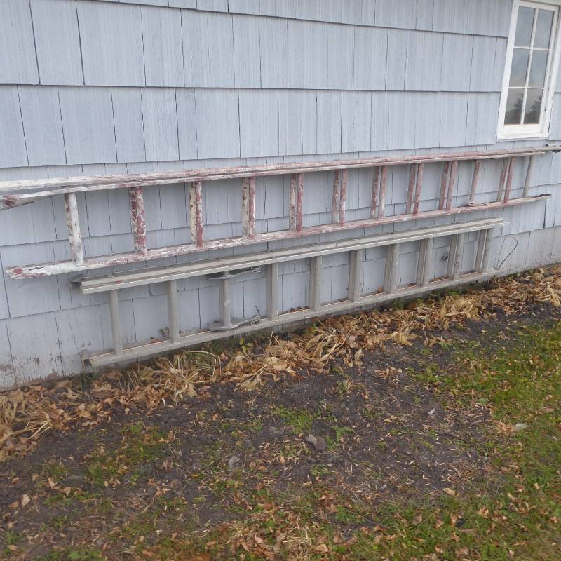 lot 103 image: Lot of Extension and Step Ladders