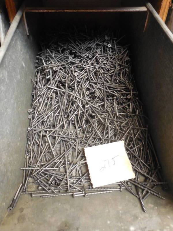 3 EG Drywall Screw
