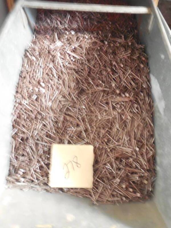 4D CEMENT COATED NAILS - LOTS