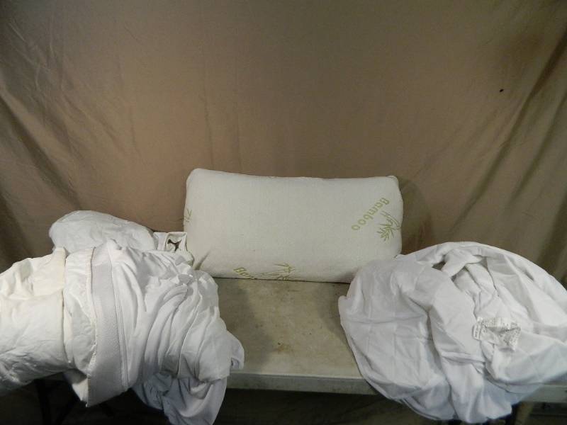 lot 66 image: Bamboo Pillow and Mattress Protectors