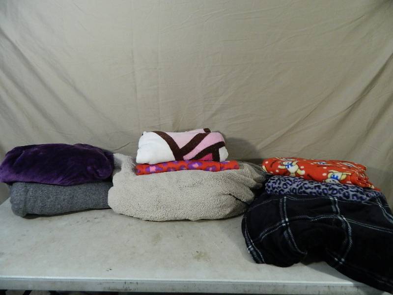 lot 131 image: 8 Assorted Blankets