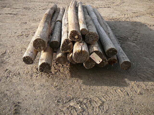 lot 8 image: White Cedar Logs