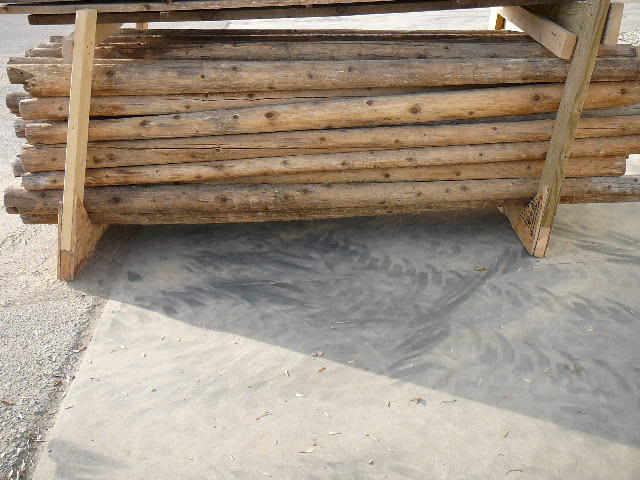 lot 10 image: White Cedar Logs