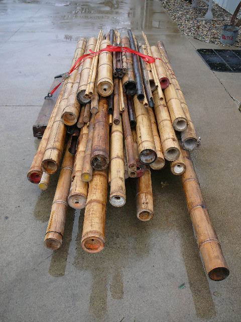 lot 17 image: Bamboo