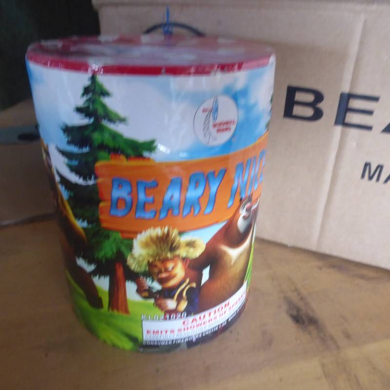 Lot of 10 Beary Nice Fireworks
