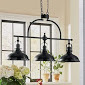 lot 170 image: Niles Hanging Lamp open box Retail ...