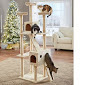 lot 204 image: Multi-Level Cat Tree open box Retai...