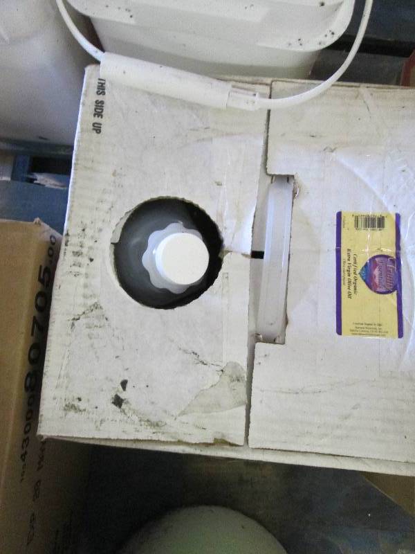 lot 59 image: 5 Gallon Carboy of Extra Virgin Oli...