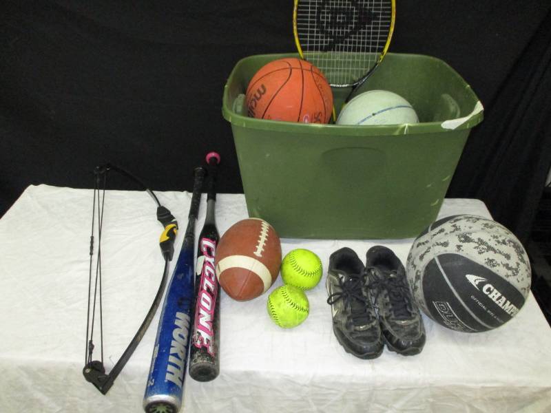 Various balls, bats, bow, racket