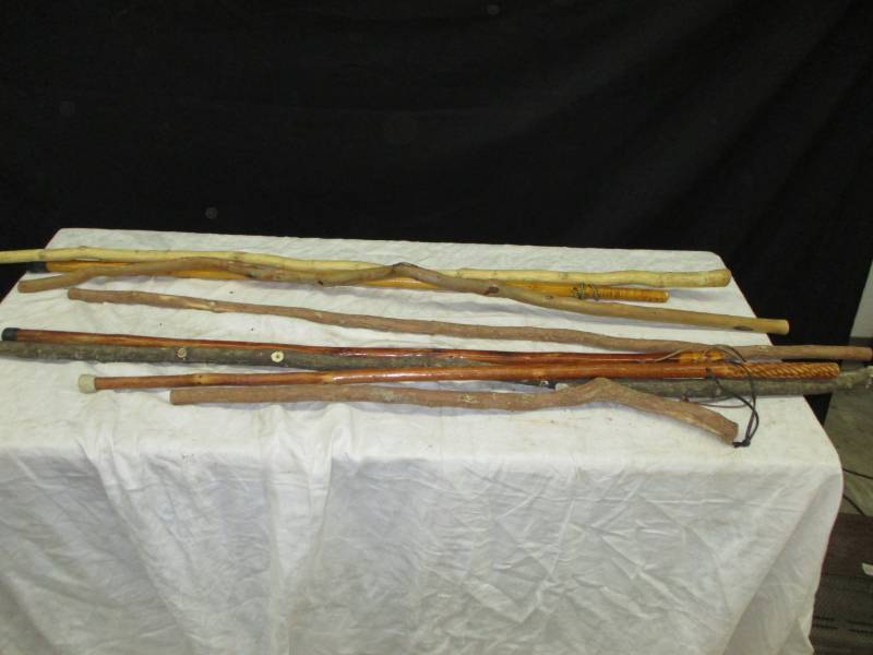 Various Canes