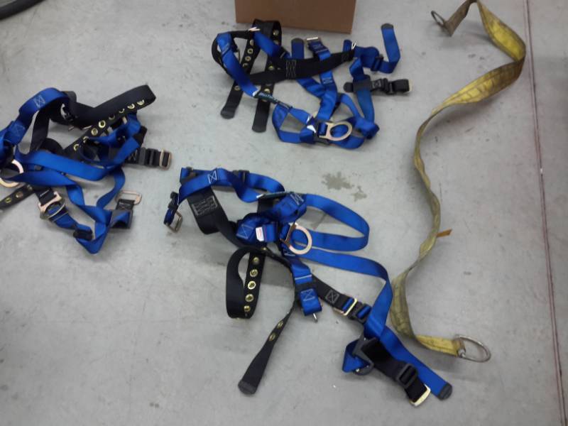lot 64 image: 3 Saftey Harnesses, 1 long strap