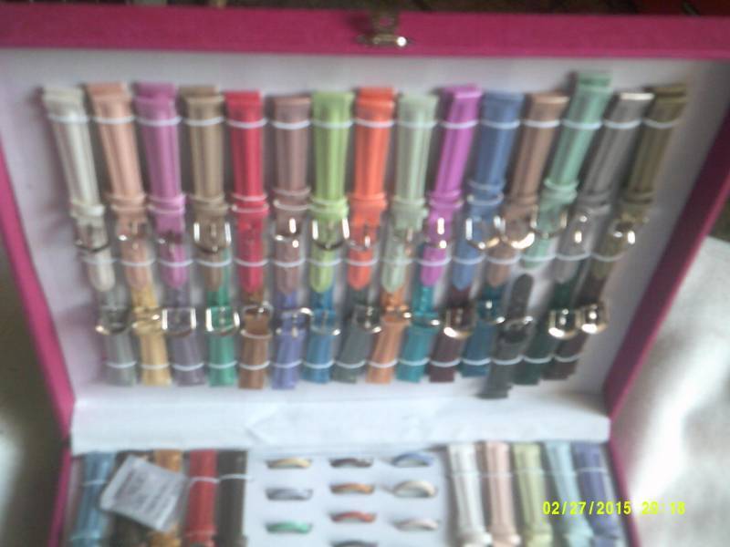 ASHLEY WATCH BAND EXCESSARY KIT