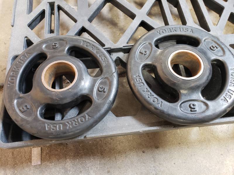 lot 41 image: 5Lbs Bumper Plates
