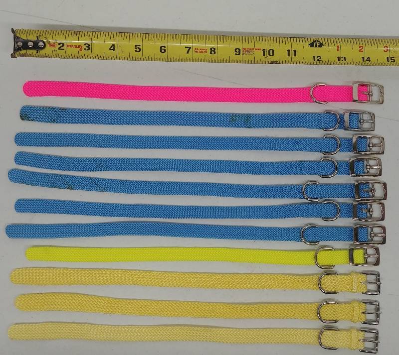 lot 39 image: qty11 - 14 Pet Collars un-used