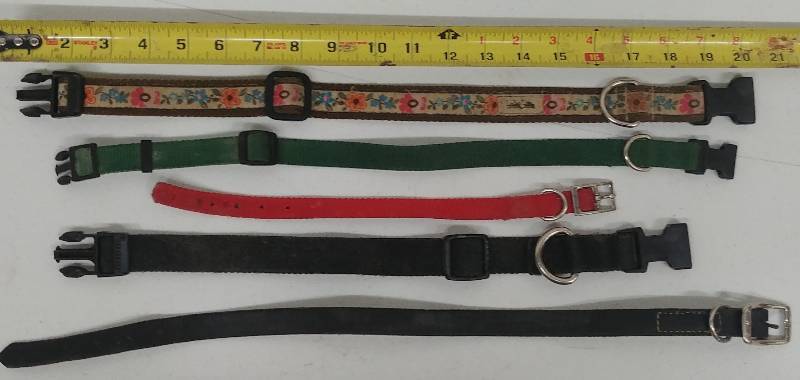 lot 41 image: qty5 Assorted Pet Collars