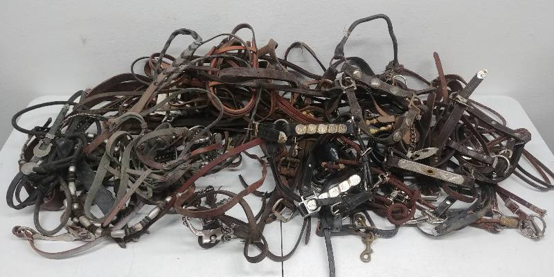 lot 151 image: SUPER-sized Leather& Ornate Horse Tack Assortment
