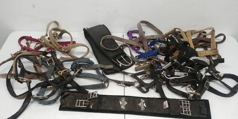 lot 153 image: BIG assortment of various Horse Tack