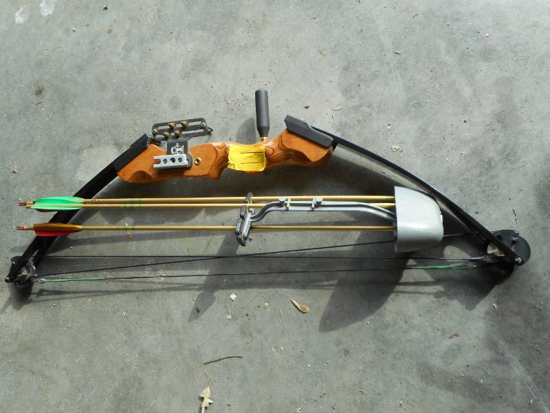 Compound Bow