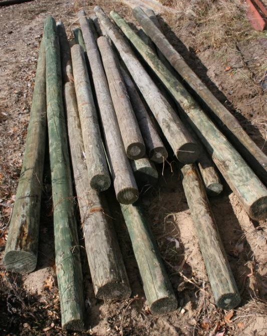 Green Treat Posts