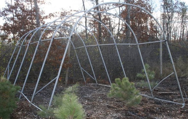 Greenhouse Frame