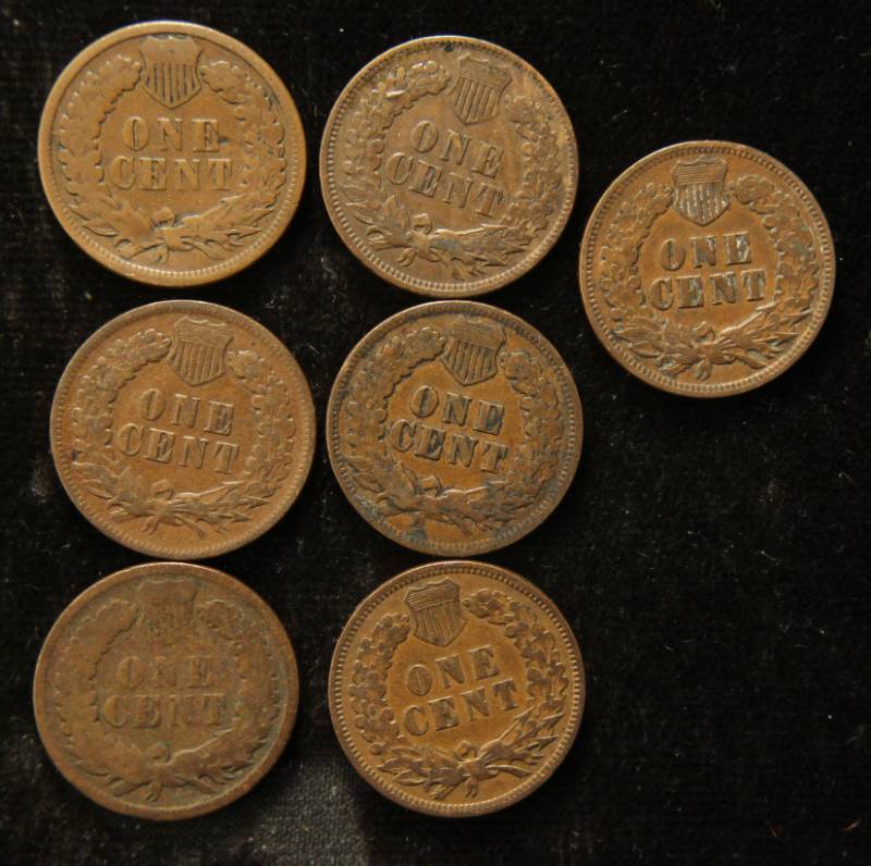 lot 11 image: 7 INDIAN HEAD CENTS G-XF