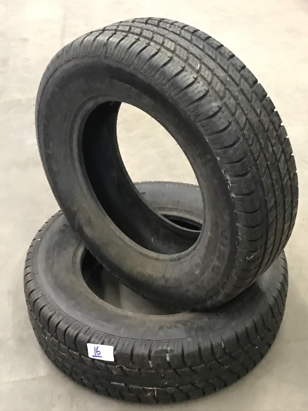 lot 16 image: (2) UniRoyal Tires