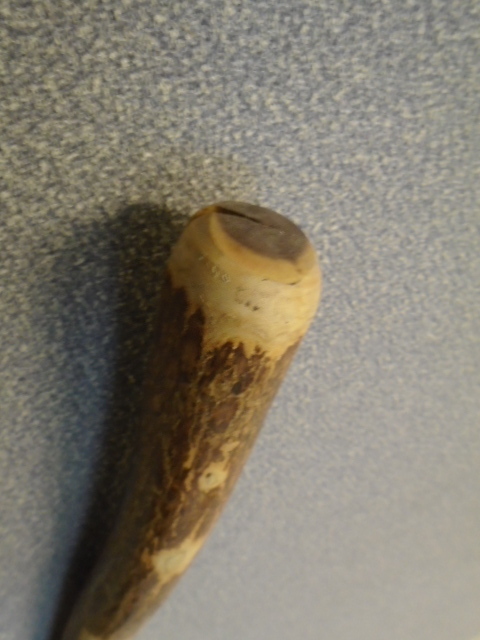 Walking Stick