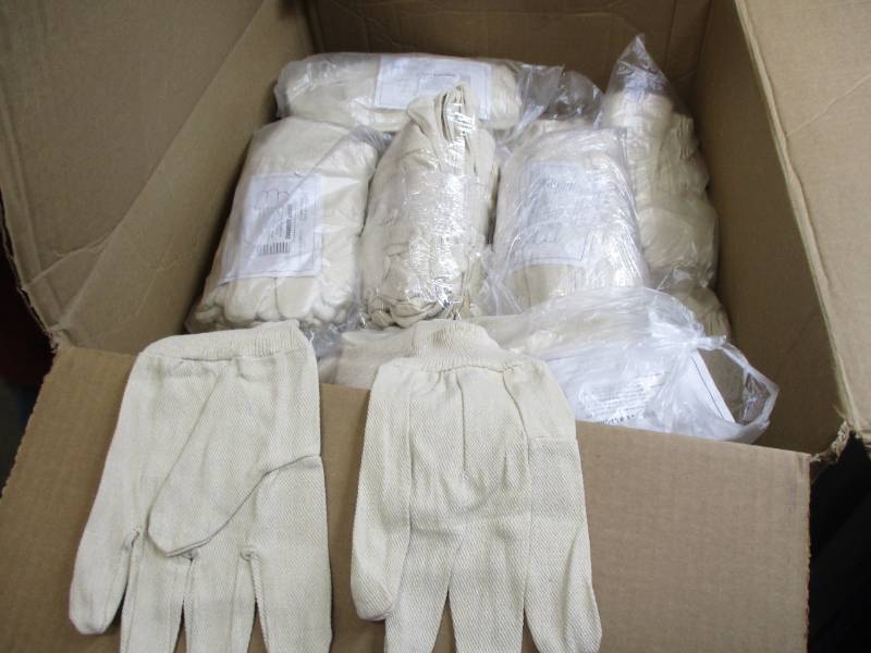 Canvas Gloves