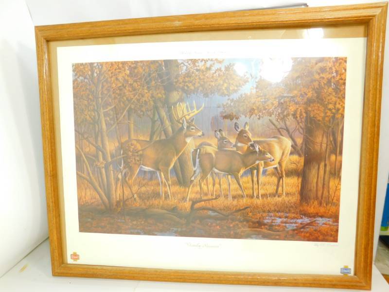 lot 11 image: Framed & Matted Wildlife Series--Special Edition Family Reunion