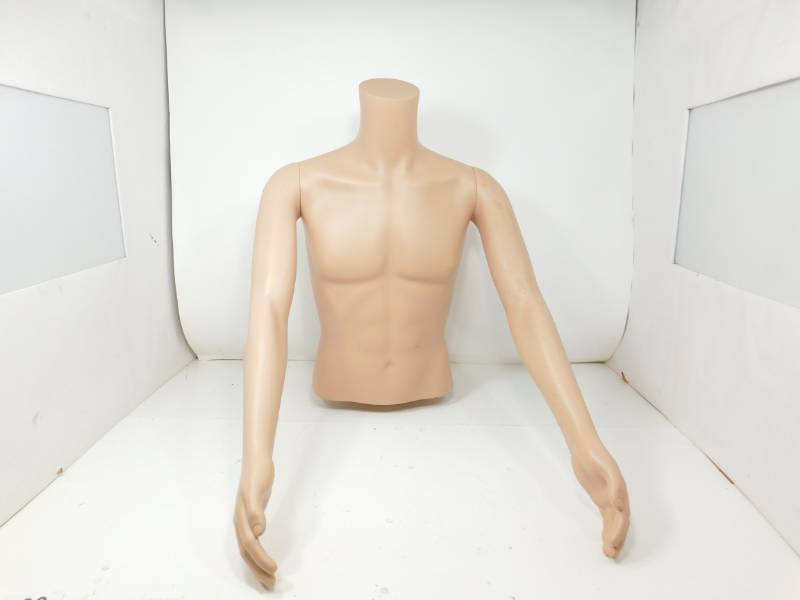 lot 66 image: Male Torso Body Mannequin