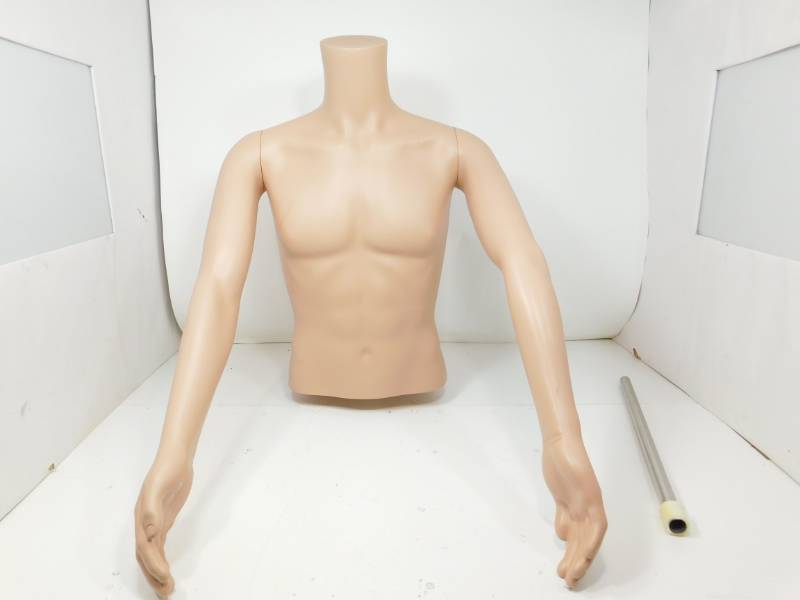lot 67 image: Male Torso Body Mannequin