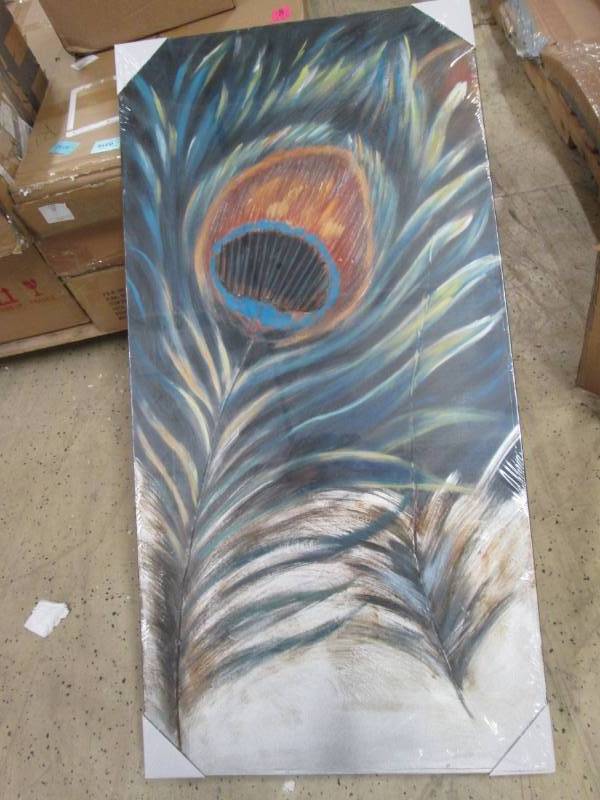 lot 85 image: Peacock Canvas open box Retail $69....