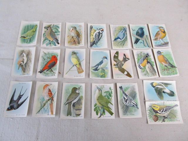 lot 66 image: Lot of Vintage USEFUL BIRDS OF AMERICA Trading Cards