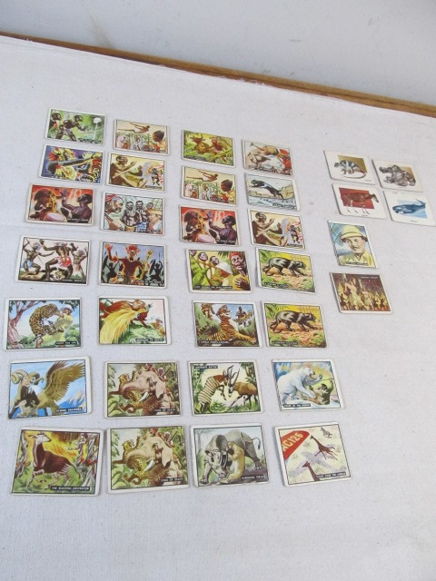 lot 67 image: Lot of Vintage Early 50s Topps BRING EM BACK ALIVE etc Trading Cards