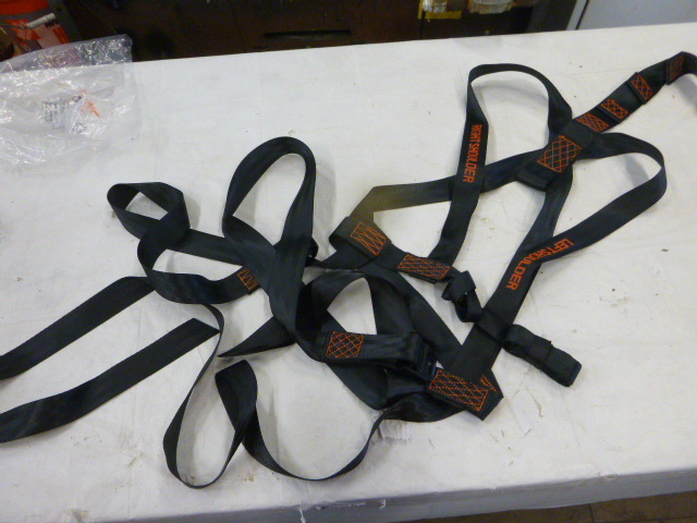 lot 31 image: NEW Big Game Safety Harness