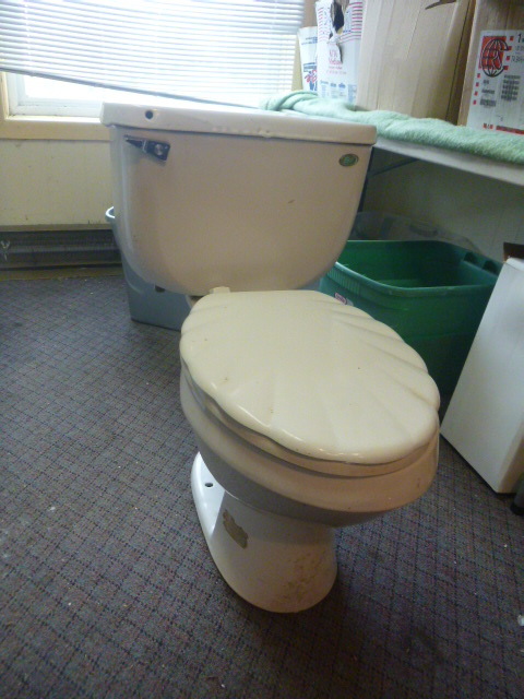 lot 57 image: Eljer Toilet