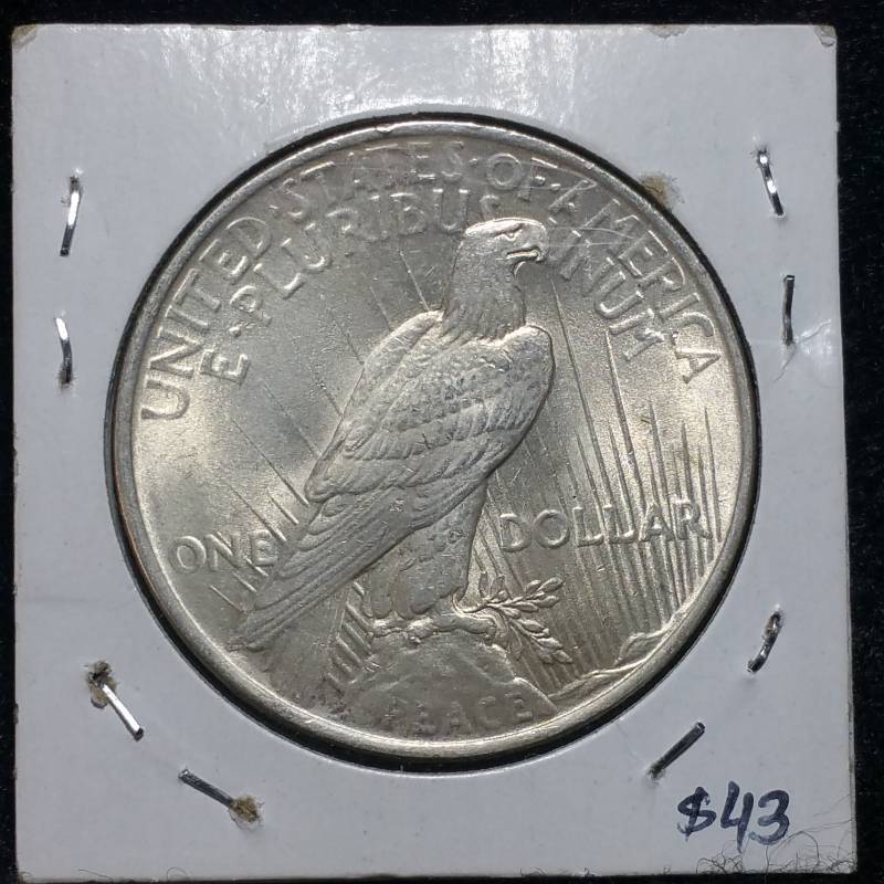 1923 P Peace Silver Dollar