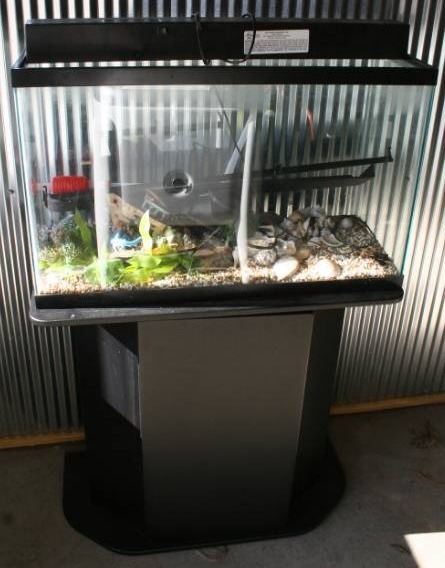 lot 23 image: Aquarium with Stand