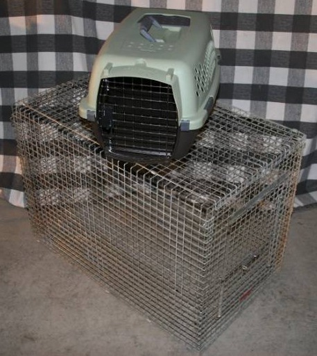 lot 189 image: Pet Kennel and Carrier
