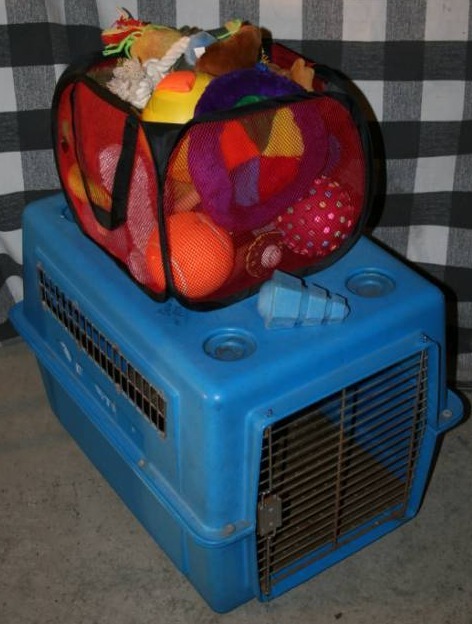 lot 190 image: Pet Carrier and Misc Animal Toys