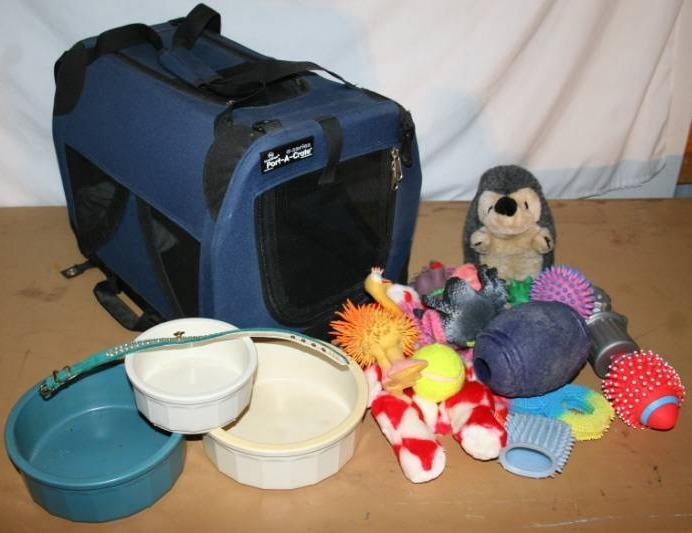 lot 191 image: Pet Carrier and Misc Animal Toys