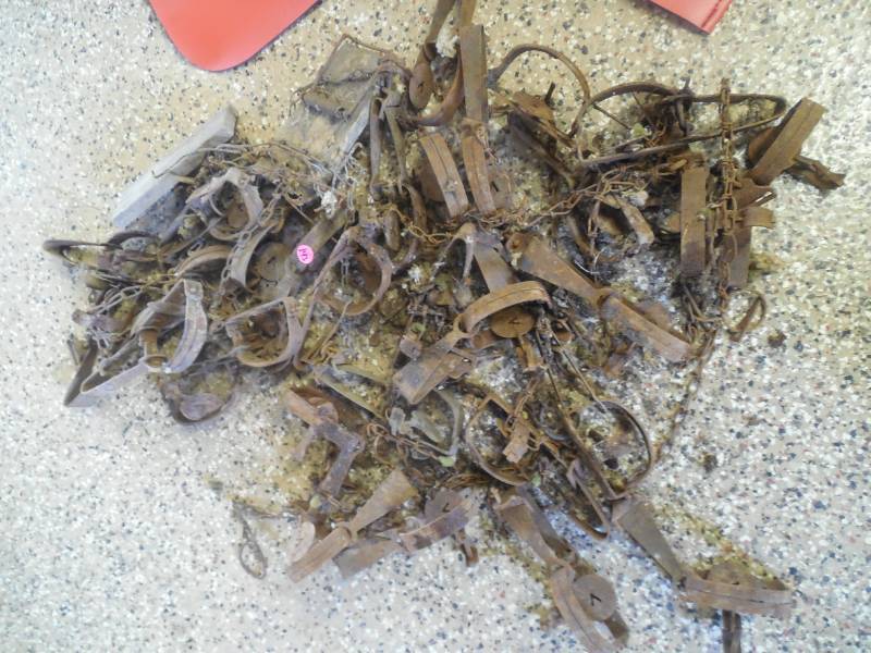 VIKTOR LIVE ANIMAL TRAP LOT